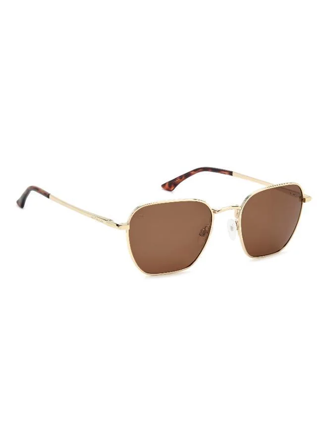 PRIVÉ REVAUX Wayfarers Sunglasses