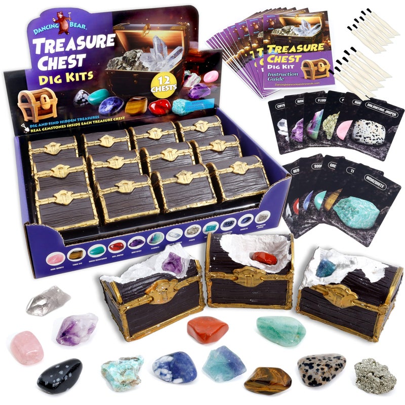DANCING BEAR Treasure Chest Dig Kit Party Pack for 12 Kids, Excavate 12 Surprise Real Gems & Crystals, STEM Education, Fun Pirate Booty Hunt, Science Activity Gift Sets for Girls and Boys - Image 1