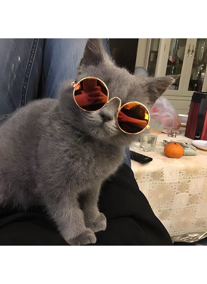 Mumoo Bear Mumoo Bear Dogs Cat Glasses Teddy Small Dog Sunglasses English Short Cloth Evening Sunglasses  - Image 5
