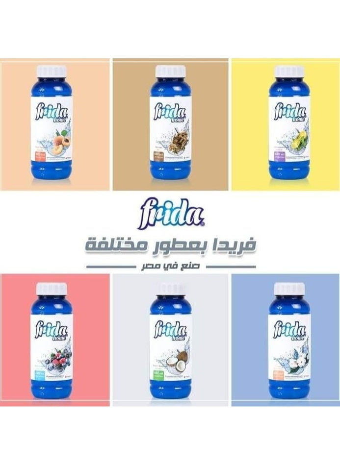 فريدا - فريدا هوم، عطر تنظيف منزلي متعدد الأغراض، برائحه الزيزفون ، 480 مل - Image 1