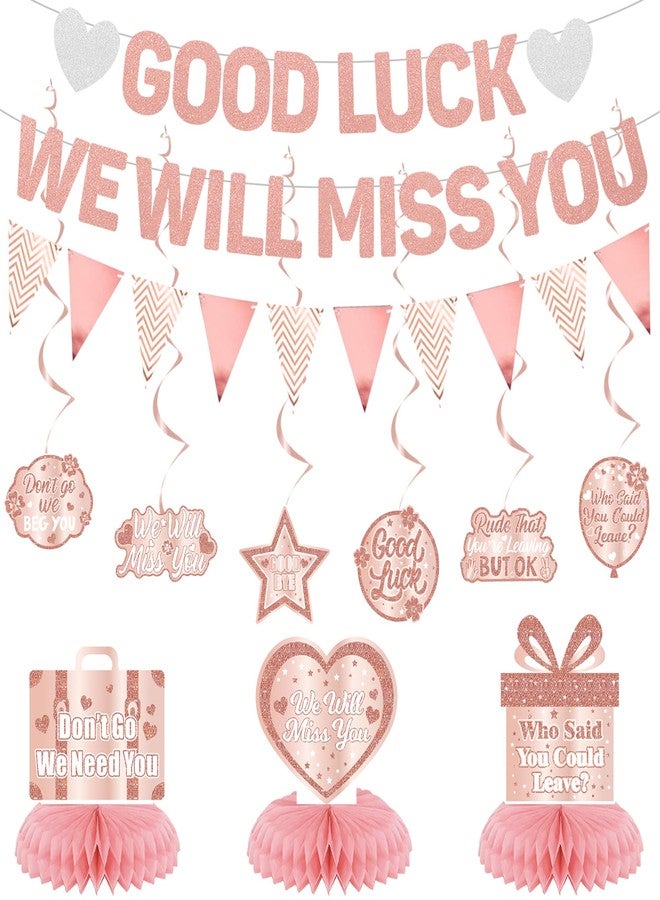 Roetyce Rose Gold Good Luck We Will Miss You Banner - Image 1
