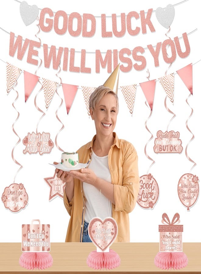 Roetyce Rose Gold Good Luck We Will Miss You Banner - Image 5