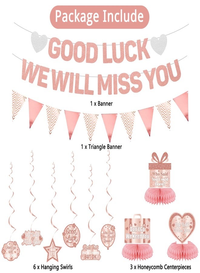 Roetyce Rose Gold Good Luck We Will Miss You Banner - Image 2