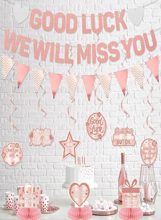 Roetyce Rose Gold Good Luck We Will Miss You Banner - Image 4