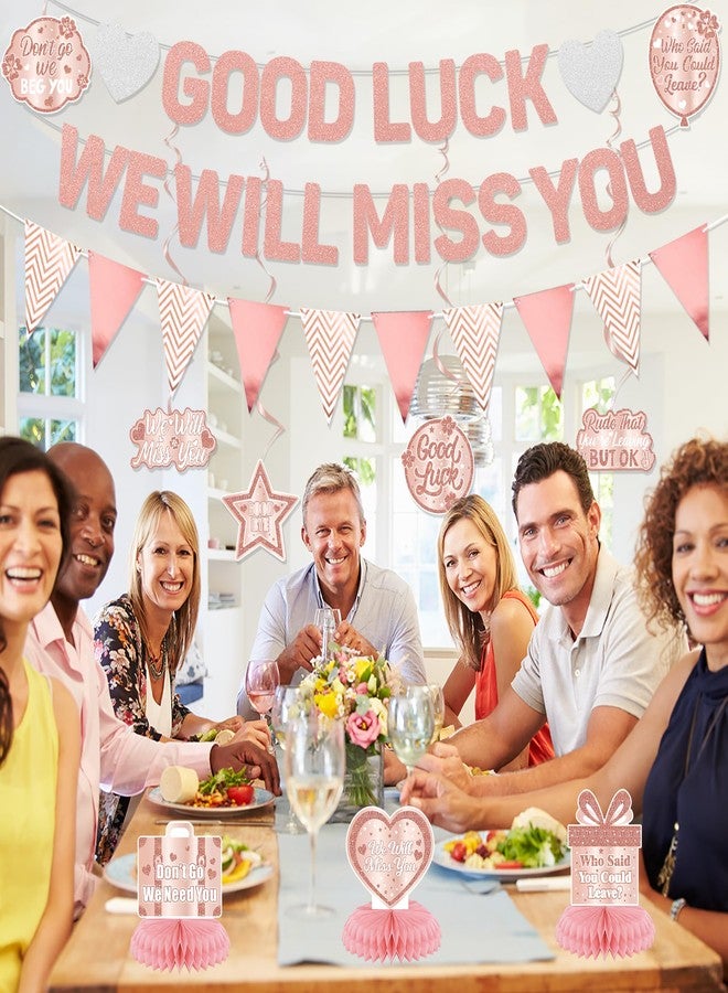 Roetyce Rose Gold Good Luck We Will Miss You Banner - Image 3