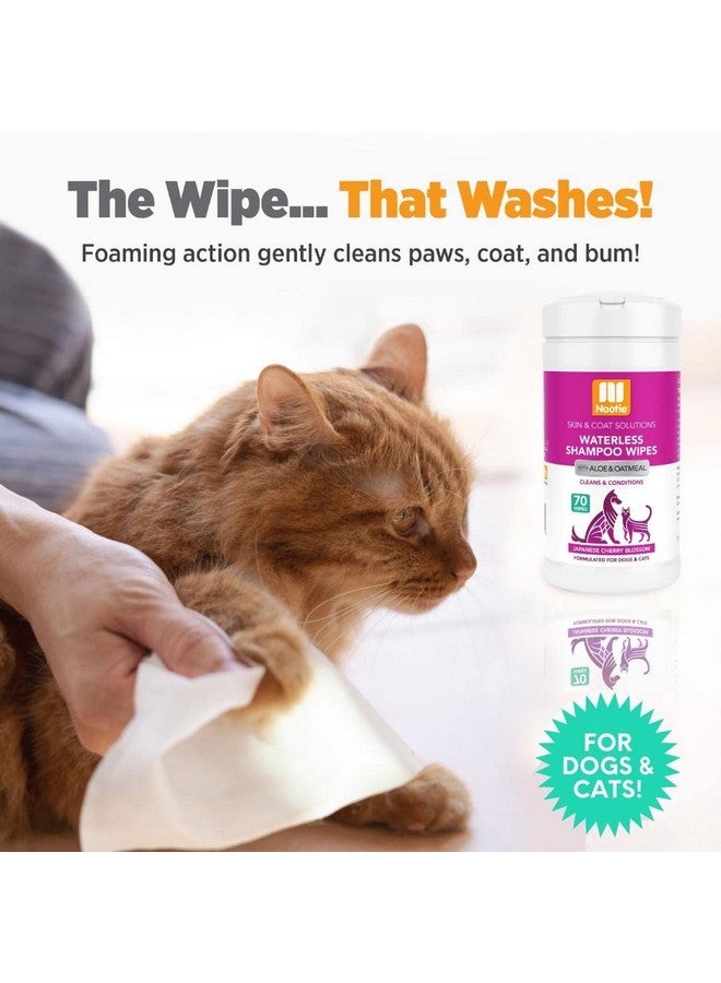nootie Nootie Waterless Shampoo Wipes for Dogs & Cats - Long Lasting Japanese Cherry Blossom Fragrance - Sold in Over 10,000 Vet Clinics and Pet Stores Worldwide, Made in USA - 70 Count - Image 4
