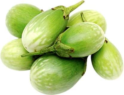 Navya Agriallied Brinjal Green Round Vegetable Seeds for Kitchen Garden Rooftop Balcony Garden 200 Seeds - Image 2