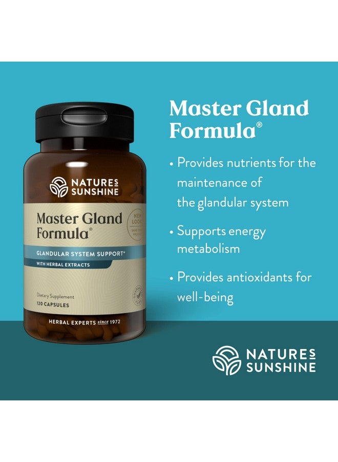 Nature's Sunshine Master Gland 120 Capsules ; Provides Complete Nutritional Support For Every Gland In The Body Helps Support Energy Metabolism - Image 5