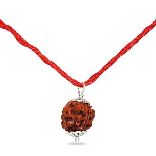 PUSHKARA NATURAL 3 MUKHI RUDRAKSHA CERTIFIED - NEPAL | BROWN | PJTL3M01 - Image 3