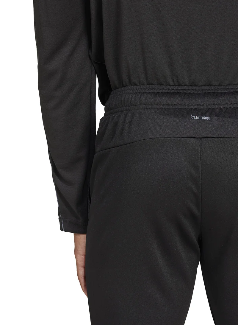 adidas بنطلون رياضي كامو أساسي