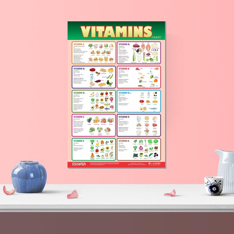 ESCAPER Educational Charts for Kids, Kids Learning Charts (11.5 x 17.5 inches), Wall Art, Posters for Kids Room & Playroom - Image 5