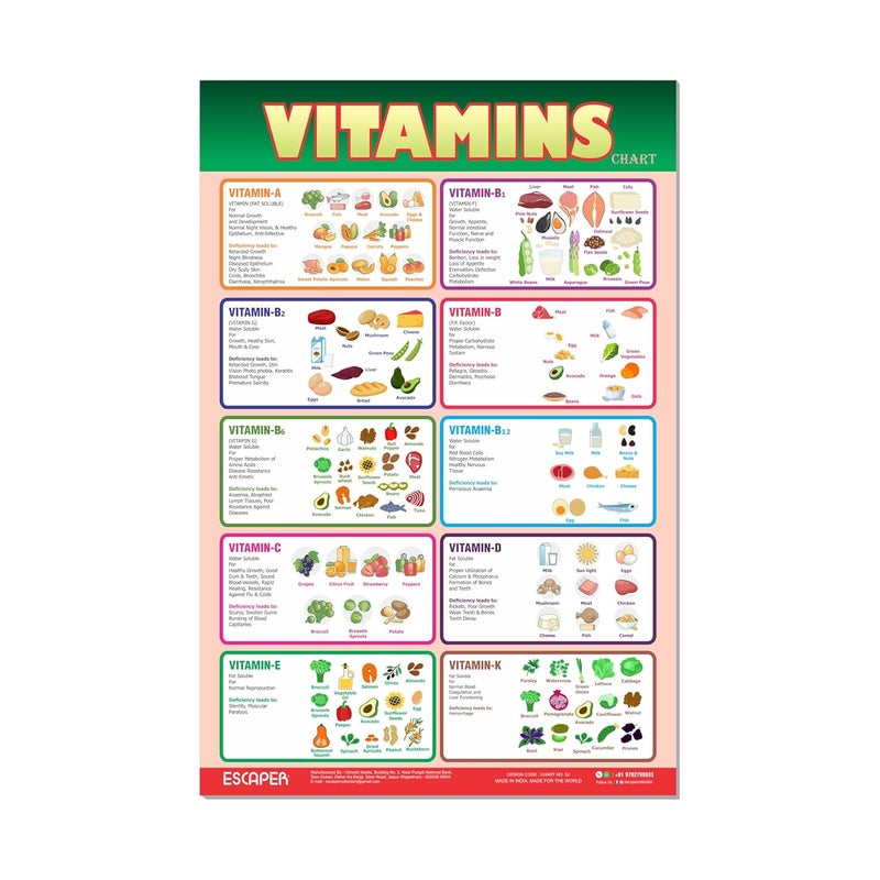 ESCAPER Educational Charts for Kids, Kids Learning Charts (11.5 x 17.5 inches), Wall Art, Posters for Kids Room & Playroom - Image 1