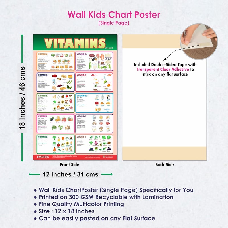 ESCAPER Educational Charts for Kids, Kids Learning Charts (11.5 x 17.5 inches), Wall Art, Posters for Kids Room & Playroom - Image 3