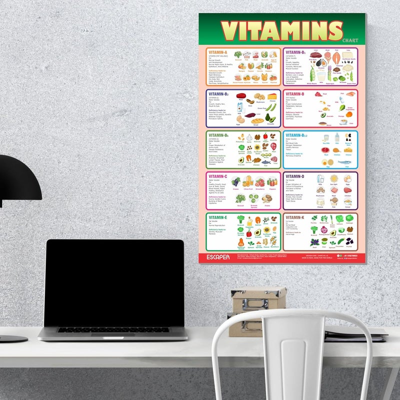 ESCAPER Educational Charts for Kids, Kids Learning Charts (11.5 x 17.5 inches), Wall Art, Posters for Kids Room & Playroom - Image 4