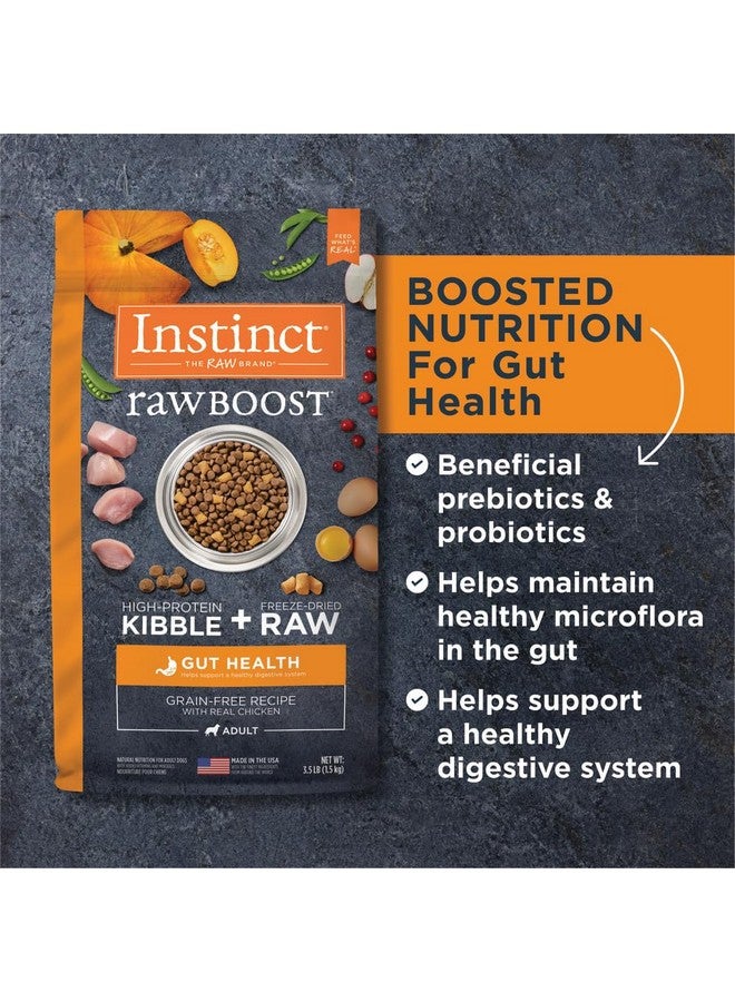 Instinct Raw Boost Gut Health, Natural Dry Dog Food with Freeze Dried Pieces, Grain Free Recipe - Real Chicken, 3.5 lb. Bag - Image 5