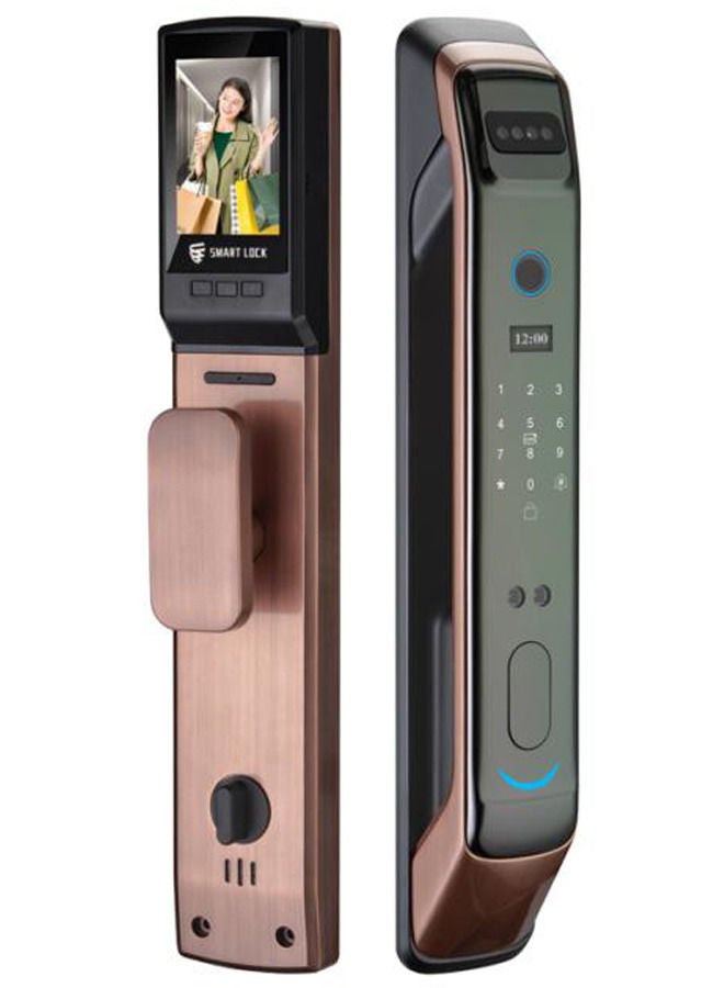 [X1 Bronze] Smart Door Lock work with Face Recognition Fingerprint PIN code and RFID Card - Image 1