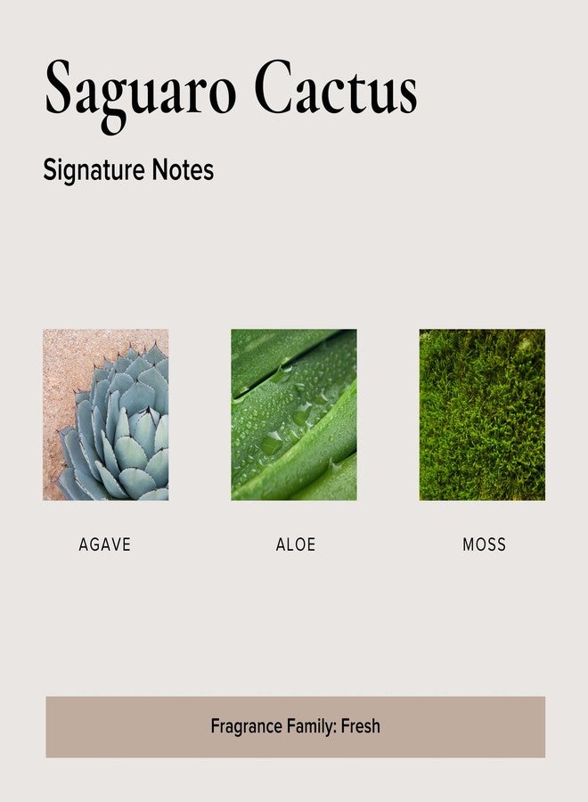 BROKEN TOP Natural Reed Diffuser Set (Saguaro Cactus) - Image 4