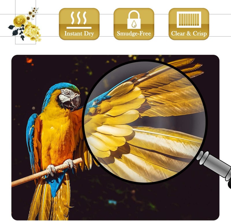 A-SUB Premium Photo Paper Luster 11x17 Inch 66lb for Inkjet Printers 50 Sheets, Single Sided - Image 4