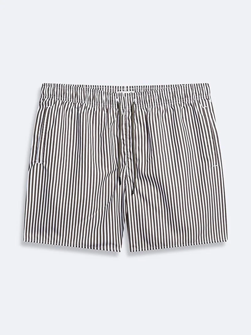 Men's Striped Regular Green Swim Shorts