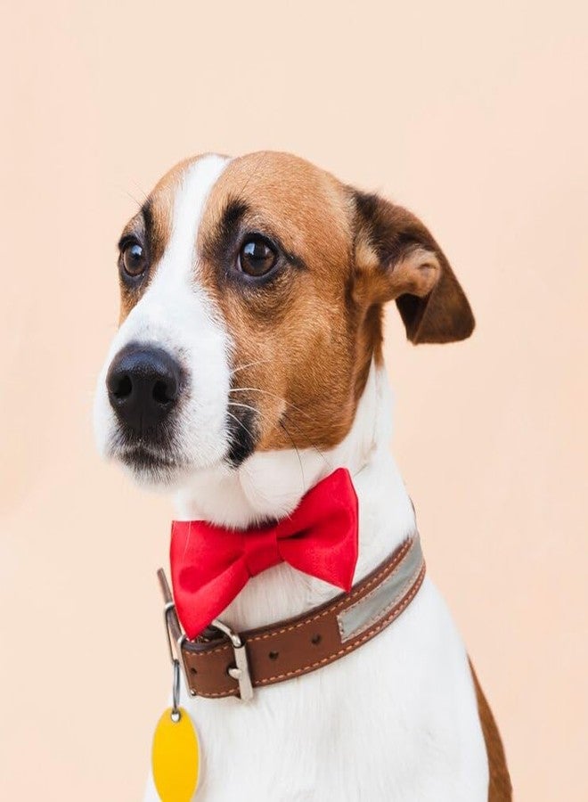KOOLMOX Dog Bow Tie, Red and Black Dog Bow with Adjustable Dog Collar for Small Puppy Dogs Cats Pets Wedding Birthday Party Christmas Holiday Homecoming Costumes, 2-Pack, Black and Red, 7.7''-15'' - Image 5