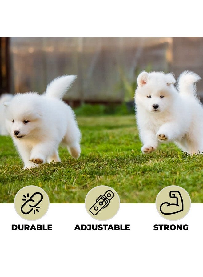 Homestic Dog Chest Belt Harness With Adjustable Leash|Premium Demin Fabric|Metal Hooks |Pdmgl-013-03| Comfortable Grip|Double Stitched Belt With Soft Padding |Black - Image 2