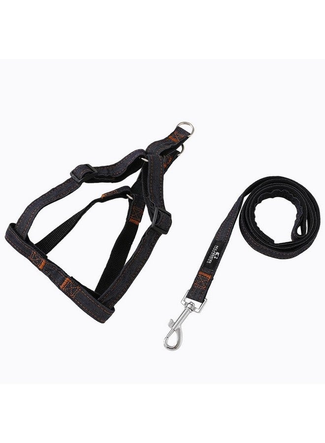 Homestic Dog Chest Belt Harness With Adjustable Leash|Premium Demin Fabric|Metal Hooks |Pdmgl-013-03| Comfortable Grip|Double Stitched Belt With Soft Padding |Black - Image 4