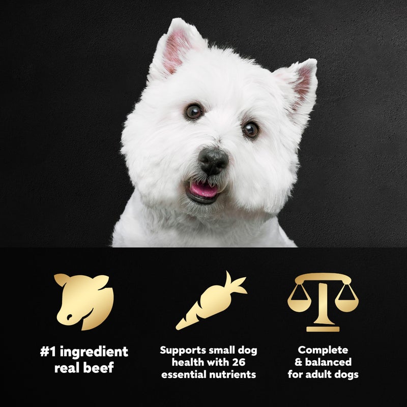 Cesar Small Breed Dry Dog Food for Small Dogs, Porterhouse Flavor and Spring Vegetables Garnish, 5 lb Bag - Image 2