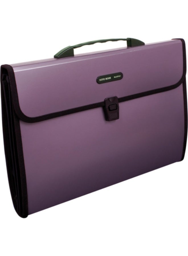 Expanding File with Division F43 Pockets Assorted Color