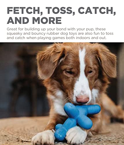 Outward Hound by Charming Pet Latex Rubber Balloon Squeaky Dog Toy, Blue, Large - Image 4