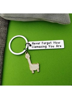 Llama Keychain Llama Gift Never Forget How Llamazing You Are Keychain For Women Alpaca Gifts Animal Lover Gift Inspiring Inspired Motivational Keychains For Women,Birthday Gift For Friends - pzsku/Z9D65D3734643698CF1D6Z/45/_/1735566722/58c79b2f-d932-4f5e-8483-0230767a45f8