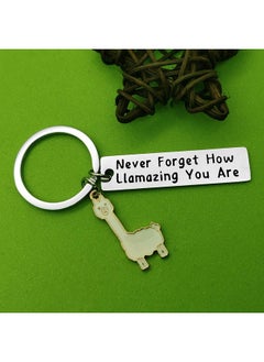 Llama Keychain Llama Gift Never Forget How Llamazing You Are Keychain For Women Alpaca Gifts Animal Lover Gift Inspiring Inspired Motivational Keychains For Women,Birthday Gift For Friends - pzsku/Z9D65D3734643698CF1D6Z/45/_/1735566723/5f395315-6128-4ccd-bf95-ca5e22c93485