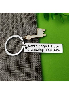 Llama Keychain Llama Gift Never Forget How Llamazing You Are Keychain For Women Alpaca Gifts Animal Lover Gift Inspiring Inspired Motivational Keychains For Women,Birthday Gift For Friends - pzsku/Z9D65D3734643698CF1D6Z/45/_/1735566725/ca358060-2311-48a5-809a-fc536913a3ee