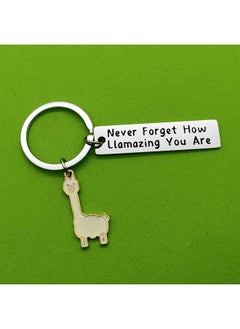 Llama Keychain Llama Gift Never Forget How Llamazing You Are Keychain For Women Alpaca Gifts Animal Lover Gift Inspiring Inspired Motivational Keychains For Women,Birthday Gift For Friends - pzsku/Z9D65D3734643698CF1D6Z/45/_/1735566735/08b9795e-2c4a-473b-a455-3168991c19ec