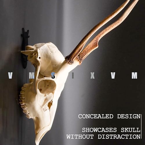VMSIXVM European Mount Skull Hanger, Deer Skull Wall Hooker for Hanging Deer Head, Pronghorn and Other Smaller Animals, Euro Mount Hanger with Easy Install Kit for Indoor Outdoor - Image 5