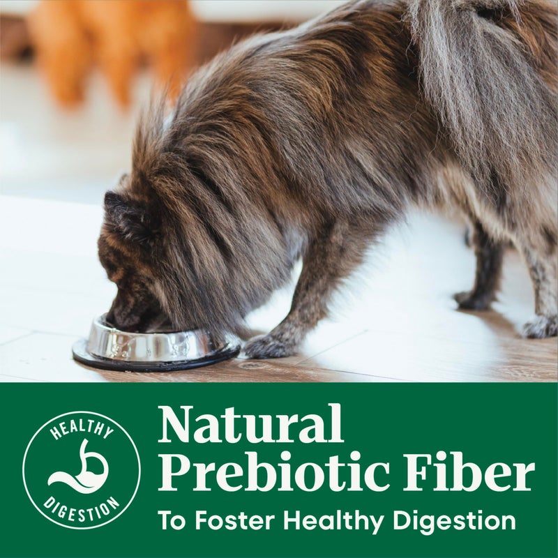 Nutro Natural Choice Small Breed Senior Dog Food Dry Chicken & Brown Rice Recipe, Dry Dog Food Small Breed, 5 lb. Bag - Image 5