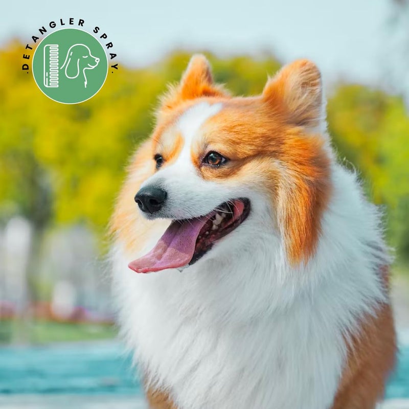 Best Shot UltraMAX Pro Finishing Spray, Ideal Detangler Spray for Pets, Hydrating and Soothing Pet Grooming Spray, for Dogs and Cats, 1.1 Gallon - Image 4