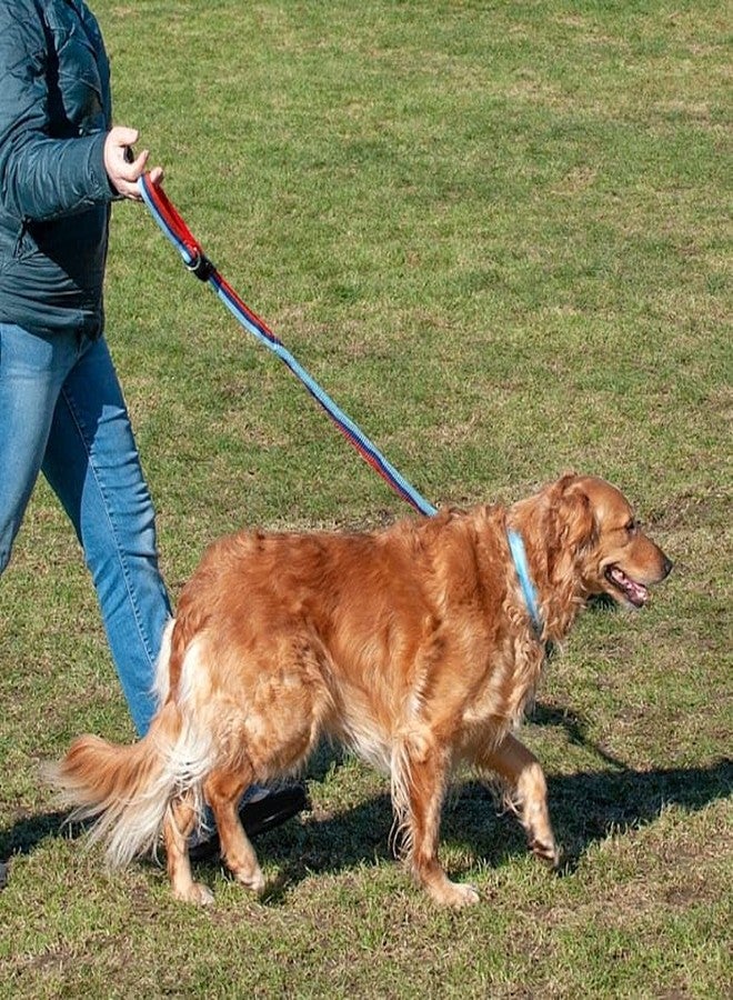 Furhaven Bungee Dog Leash w/ Quick Release Easy Tether - Classic Stripe, One Size - Image 4