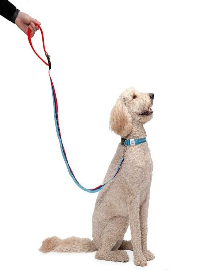 Furhaven Bungee Dog Leash w/ Quick Release Easy Tether - Classic Stripe, One Size - Image 1