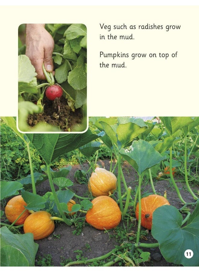 Read Write Inc. Phonics: Plants (Yellow Set 5 NF Book Bag Book 9) - Image 4