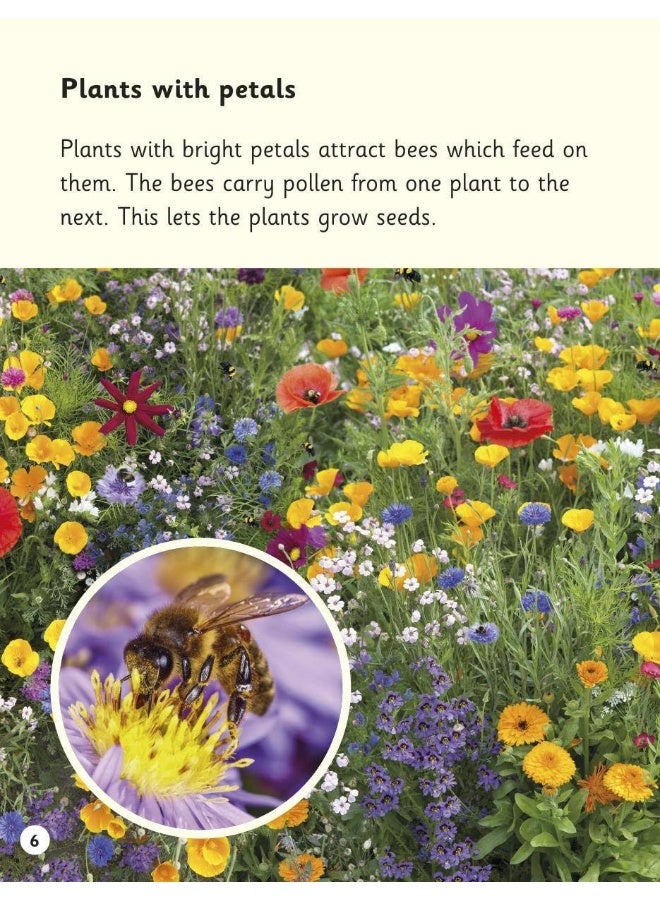 Read Write Inc. Phonics: Plants (Yellow Set 5 NF Book Bag Book 9) - Image 3