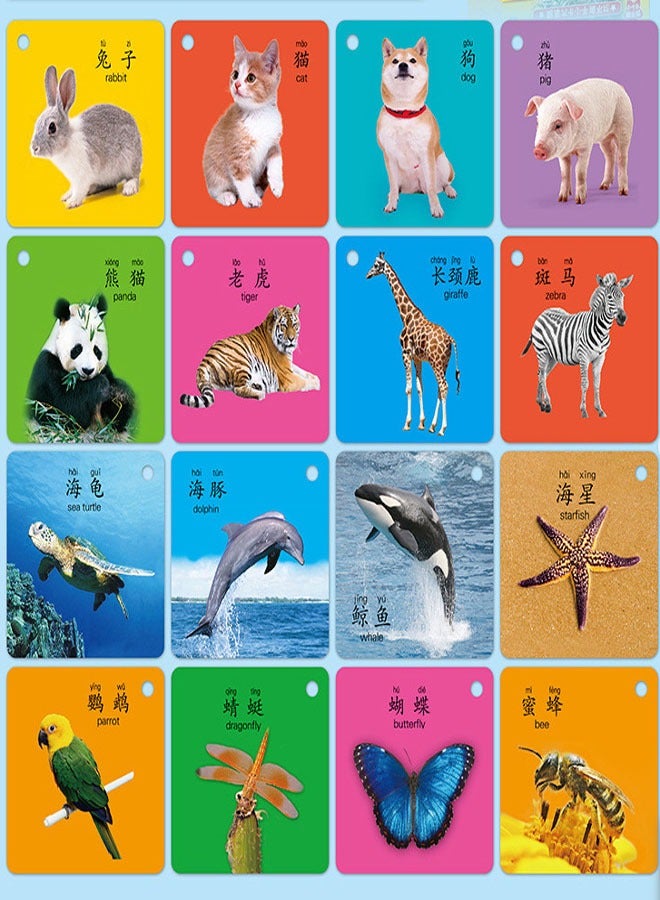 Children's double-sided educational toy literacy card, baby enlightening animal card with picture cognition early education card - Image 3