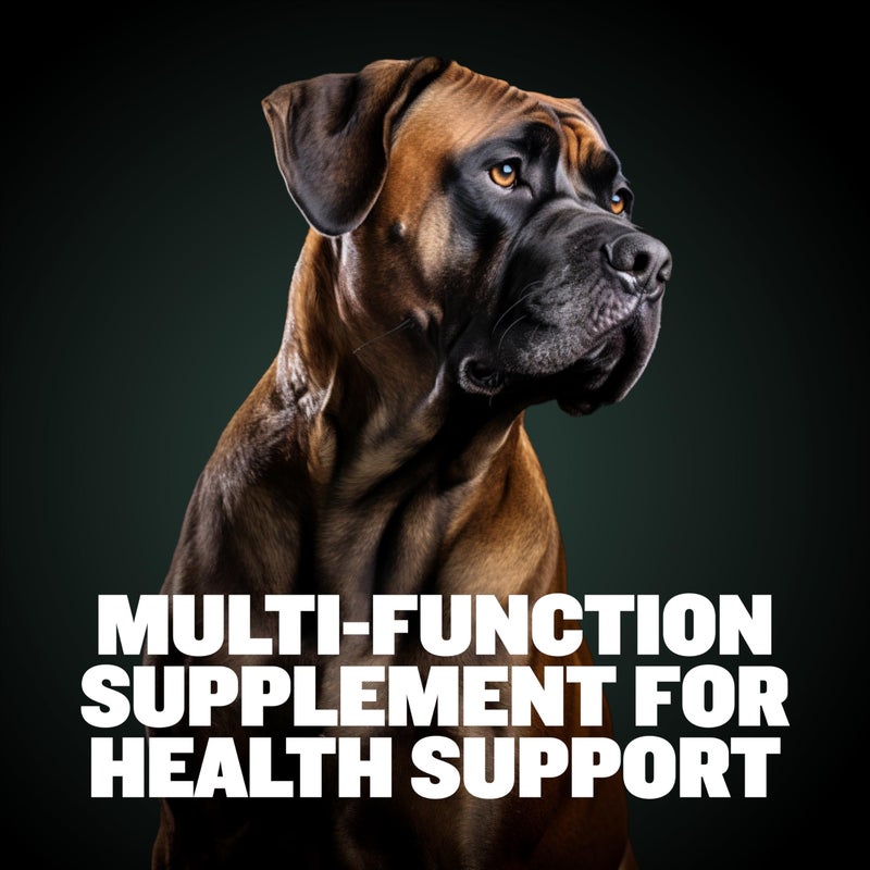 Bully Max Dog Chews & Multivitamin Treats for Puppy & Adult Dogs - 75 Soft Chews, Dog Supplements & Vitamins for All Breeds - Skin, Coat, Brain, Heart, Digestive Health, Immunity, Joint Support - Image 3