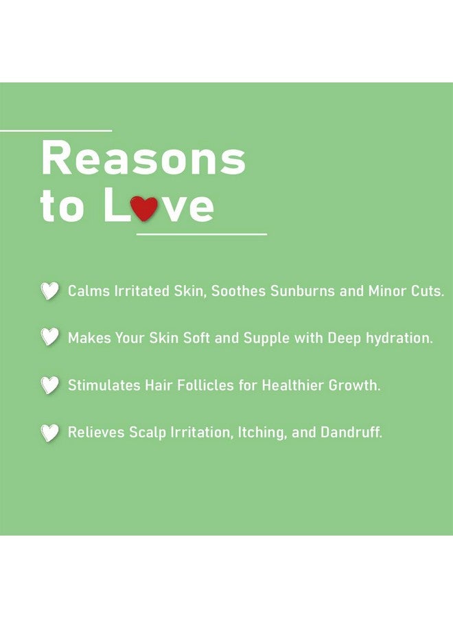 minature مسحوق جل الألوة فيرا 200x من mi Nature | طبيعي ونقي | ألوة باربادينسيس | 100 جرام (3.5 أونصة) | مركز للغاية (200x) | دعم هضمي | مناسب للصيغ التجميلية - Image 3