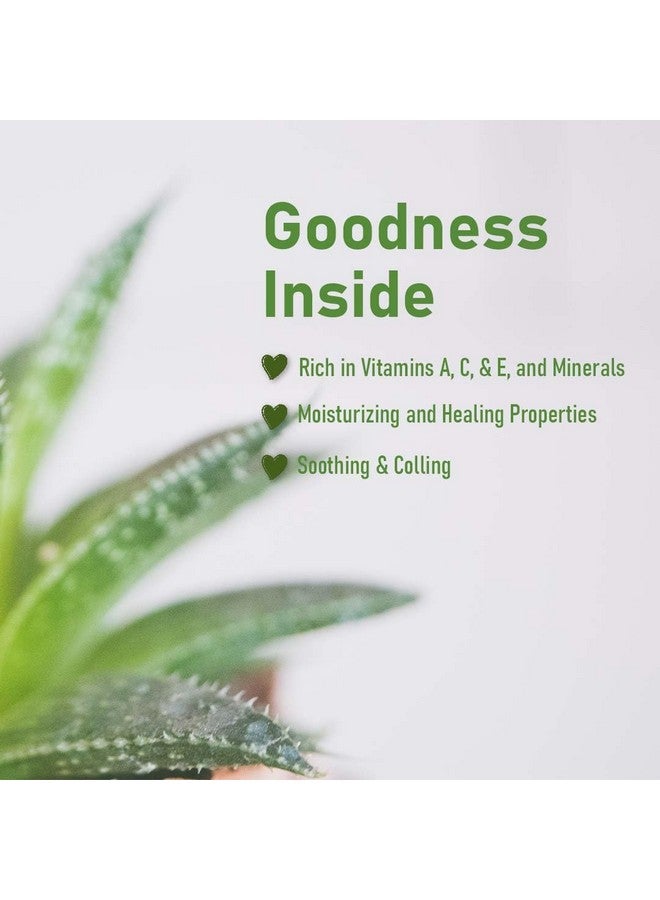 minature مسحوق جل الألوة فيرا 200x من mi Nature | طبيعي ونقي | ألوة باربادينسيس | 100 جرام (3.5 أونصة) | مركز للغاية (200x) | دعم هضمي | مناسب للصيغ التجميلية - Image 2