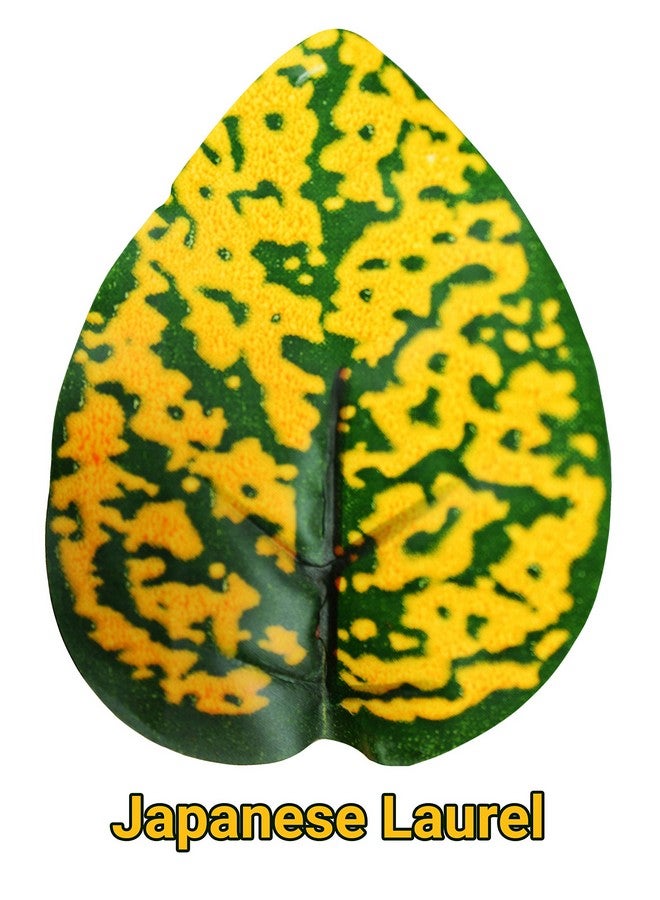 Pangea Pangea Leafy Vine for Reptile Terrarium Habitat (Japanese Laurel)  - Image 2