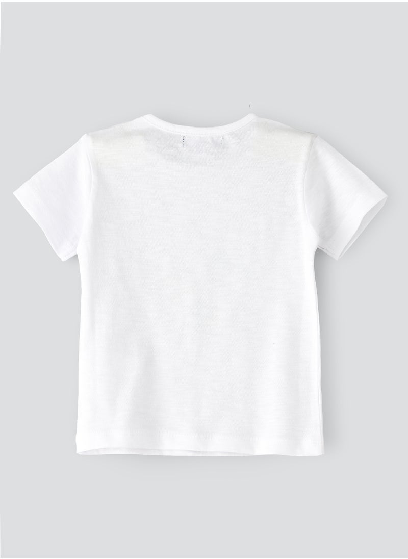 JAM Boys Short-Sleeve Cotton Tees for Spring & Summer | Playful Prints  - Image 2