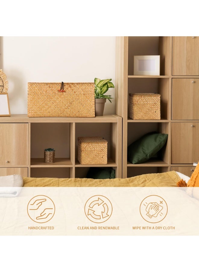 Set of 3 Shelf Basket with Lid for Home Decor Seagrass Storage Baskets Natural Rattan Woven Square Organizer Box (Set of 3) - Image 3