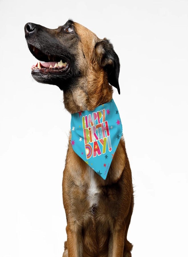 PawsIndia Dog Bandana with Collar Small Medium Large Dogs & Cats 100% Adjustable with Buckle Stretchable Fabric Happy Birthday-Multi - Image 2