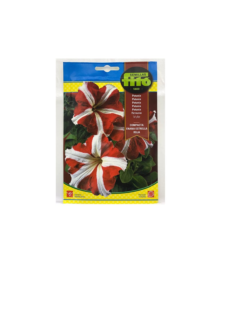 Fito - Petunia Seeds - Image 1