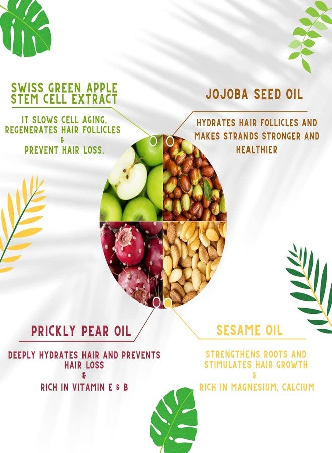 أو إم إم كوليكشن قناع تكثيف الشعر الطبيعي من مجموعة OMM - للوقاية من تساقط الشعر وترققه - قناع مرطب للشعر الجاف والتالف، يعزز نمو الشعر، ويحفز بصيلات الشعر، مناسب لجميع أنواع الشعر، نباتي - Image 4